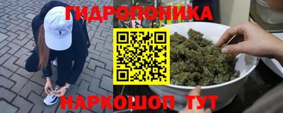 прущие грибы Дубна