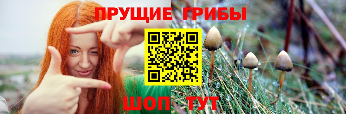 Псилоцибиновые грибы Cubensis  Вход с VPN  Мелеуз 